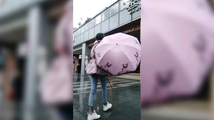 穿丝袜的季节……