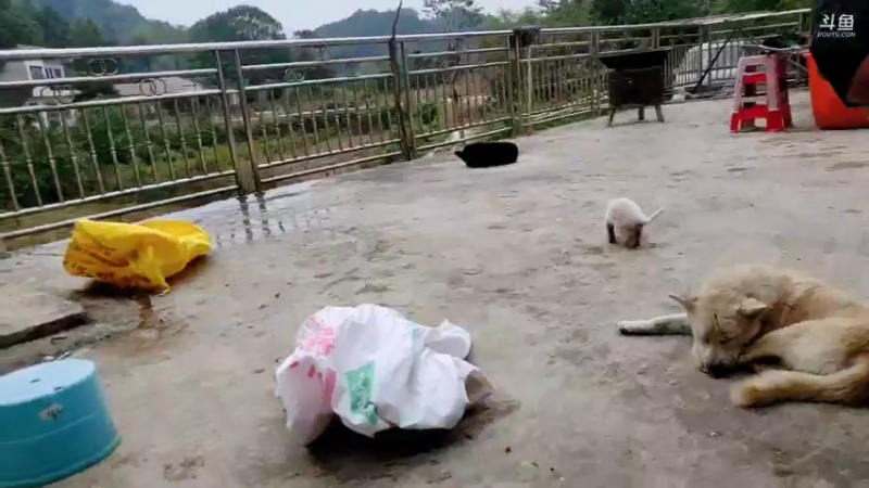 【2021-10-22 16点场】魅力生活i：陈哥生日快乐