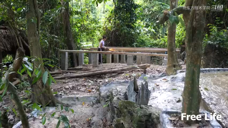 小姐姐隐居W37房子地基下1#妹子独自深入荒野隐居，建设世外桃源第一季