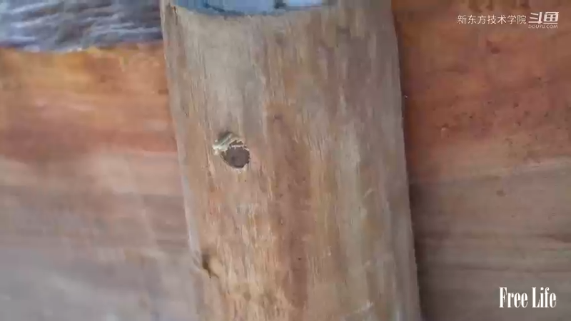 最新大更W40制作公园椅16#妹子独自深入荒野隐居，建设世外桃源第一季