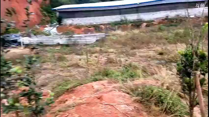 【2021-10-22 17点场】主播阿郎：荒野独居（铺砖做灶）