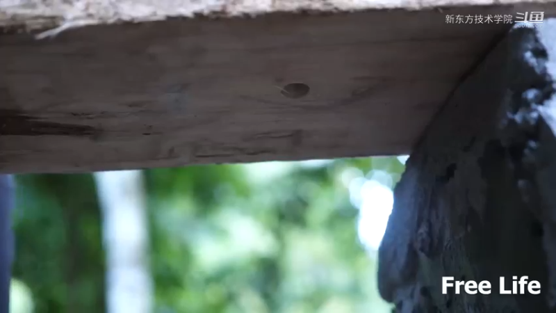 小姐姐隐居W37房子地基下3#妹子独自深入荒野隐居，建设世外桃源第一季