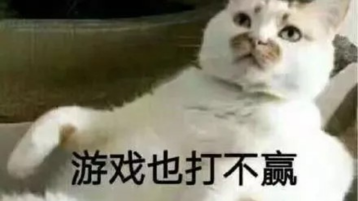 游戏日常