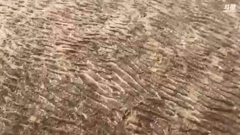 【2021-10-23 15点场】解说TH：TH:赶海