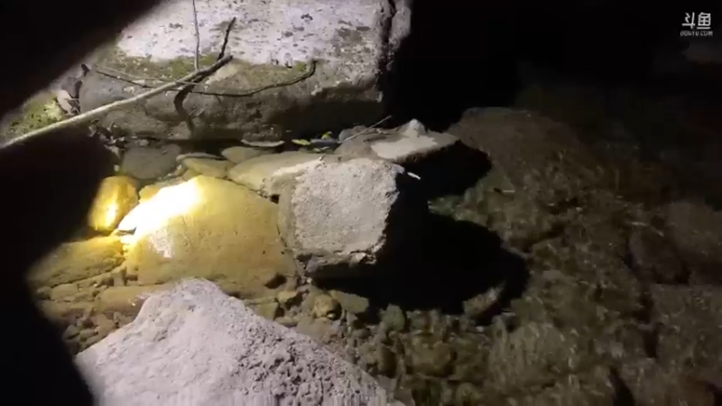 【2021-10-23 20点场】魅力生活i：大峡谷生存挑战