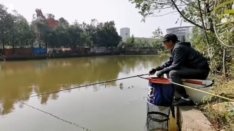 【2021-10-23 12点场】中华户外钓鱼：今年的第一场黑坑