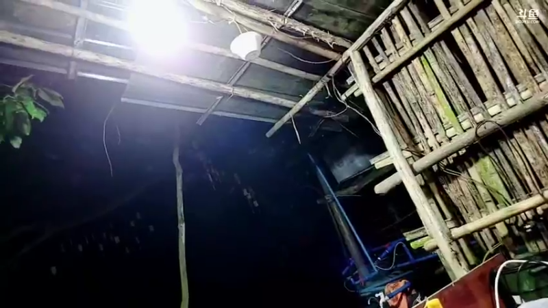 【2021-10-23 18点场】川味箩卜：基地改造升级啦！！