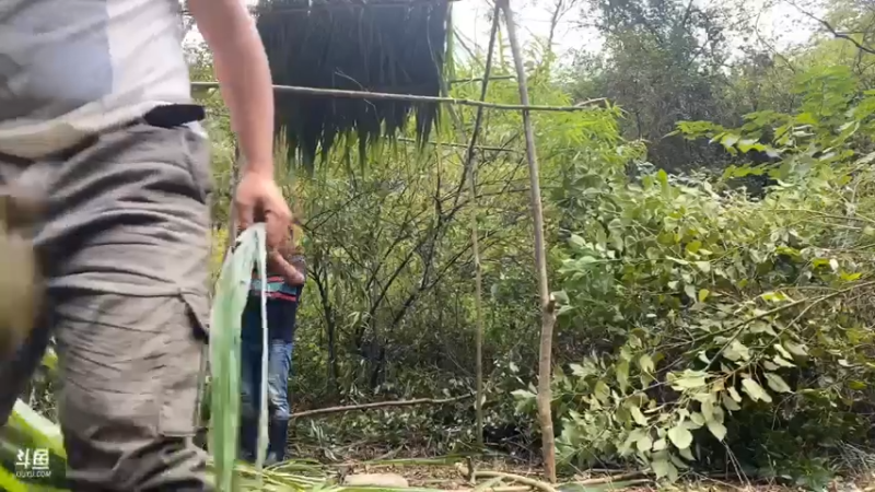 【2021-10-23 16点场】魅力生活i：大峡谷生存挑战