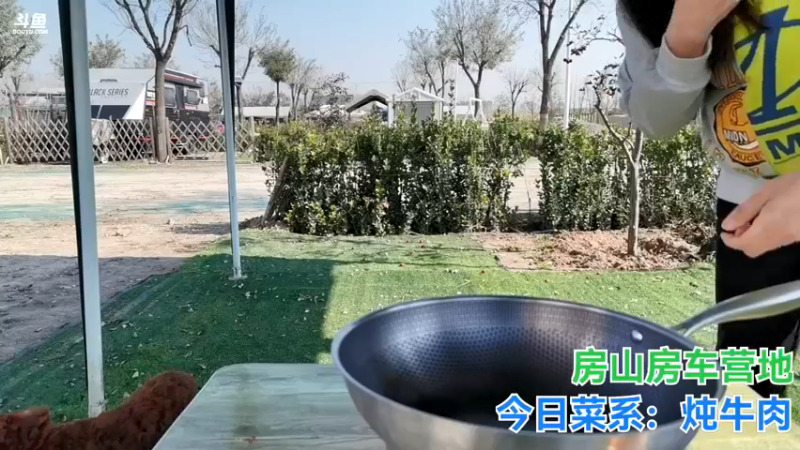 【2021-10-23 12点场】无尽无尽的无尽：房车营地生活