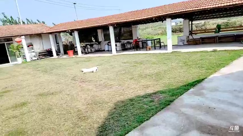 【2021-10-23 11点场】洪湖小肖：加油加油加油加油！ 447507