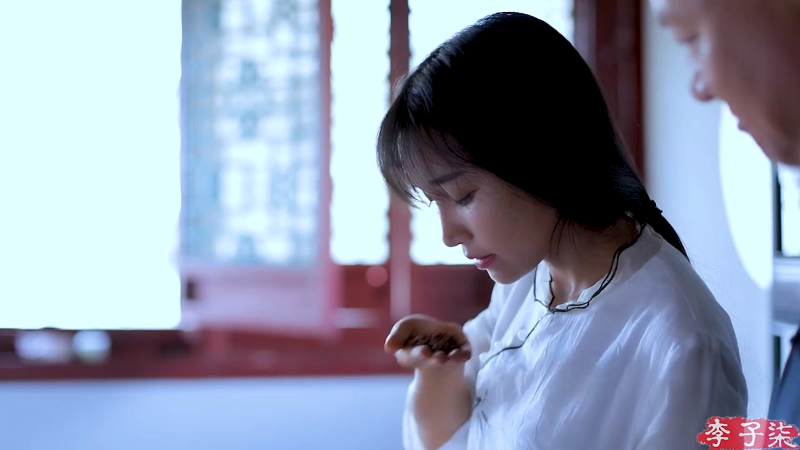 【美食】李子柒liziqi的精彩时刻 20211023 00点场