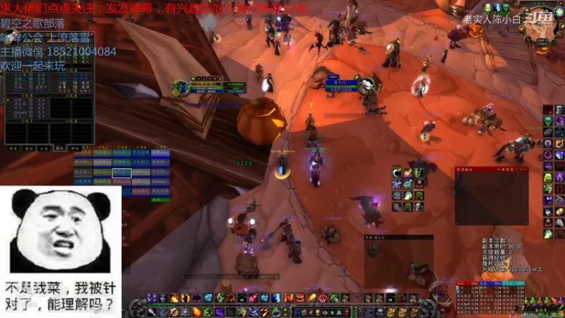 【魔兽怀旧服】碧空之歌部落，哞哞公会三团G团视频 19点场