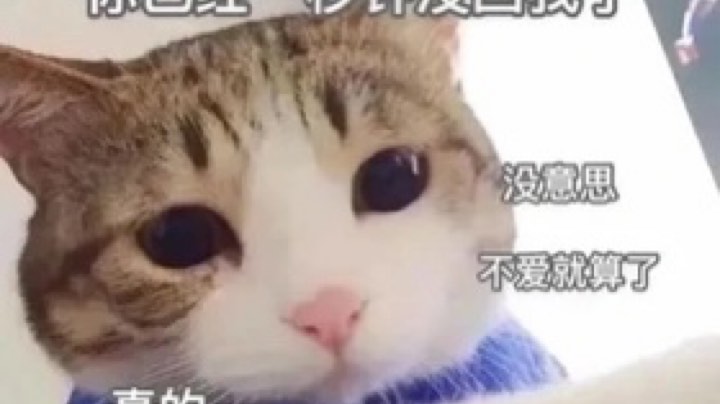 牛