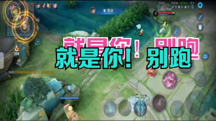 王者荣耀：就是你别跑了