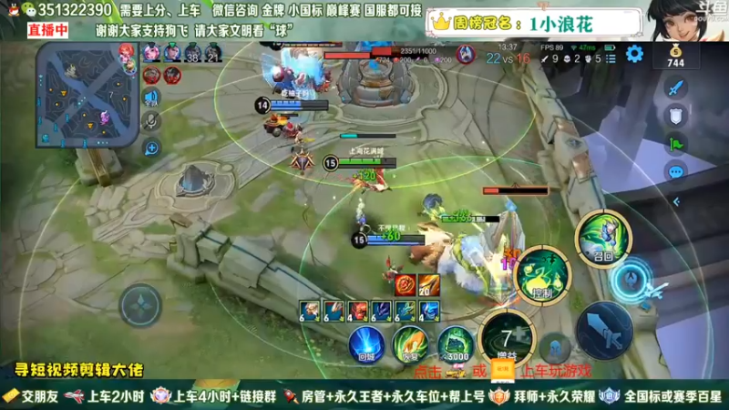 球球眼里只有ta
