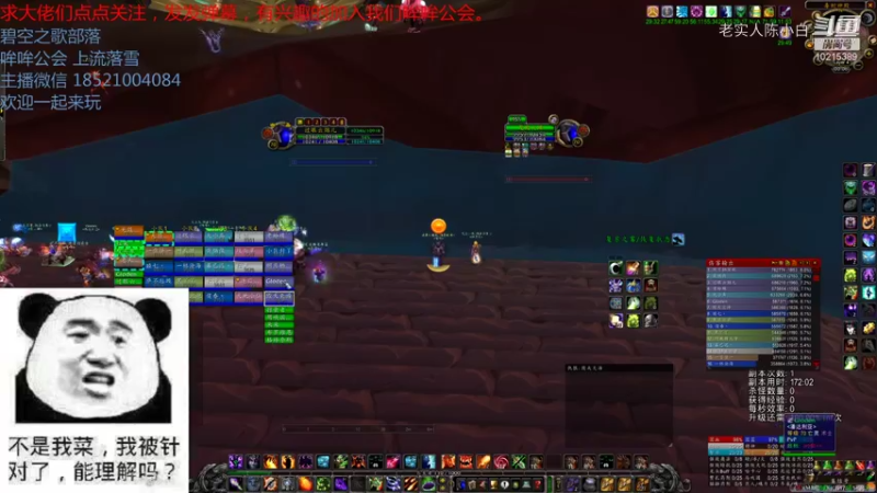 【魔兽怀旧服】碧空之歌部落，哞哞公会三团G团视频 00点场