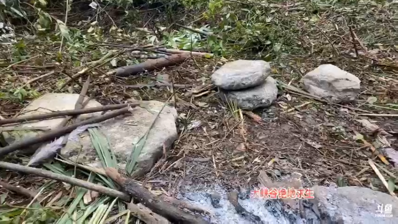 【2021-10-24 07点场】魅力生活i：大峡谷生存挑战