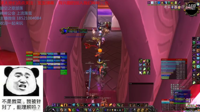 【魔兽怀旧服】碧空之歌部落，哞哞公会三团G团视频 20点场