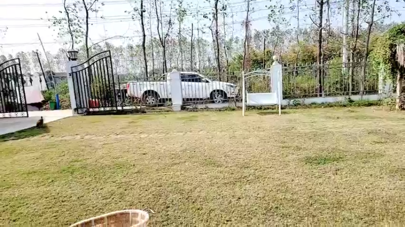 【2021-10-24 11点场】洪湖小肖：加油加油加油加油！ 447507