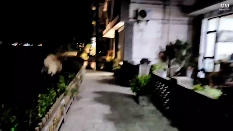 【2021-10-24 20点场】大嘴love：大理娱乐团