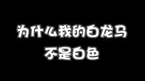 里面的这个战马叫什么名字？