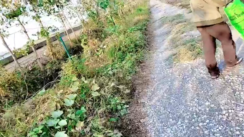 【2021-10-25 16点场】洪湖小肖：长江一日游