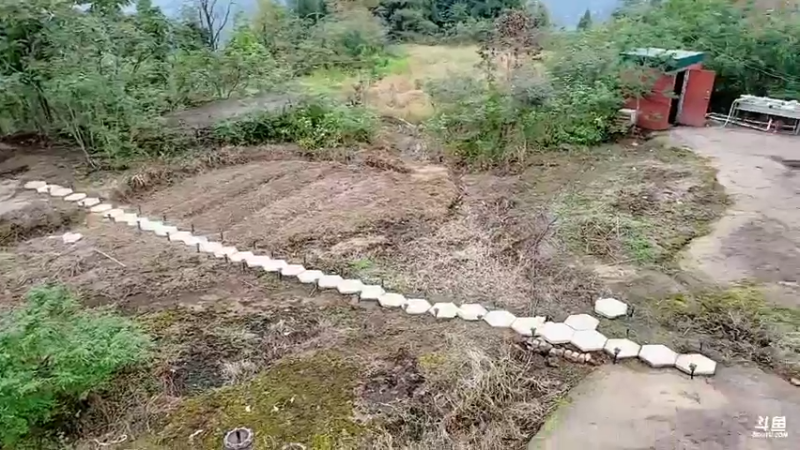【2021-10-25 12点场】川味箩卜：基地升级大改造
