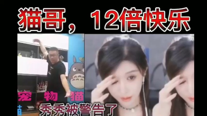 猫哥，12倍快乐！秀秀被警告了~