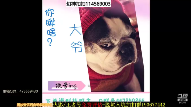 【2021-10-25 22点场】小马锅马杰：马锅：幻之试炼倒计时。