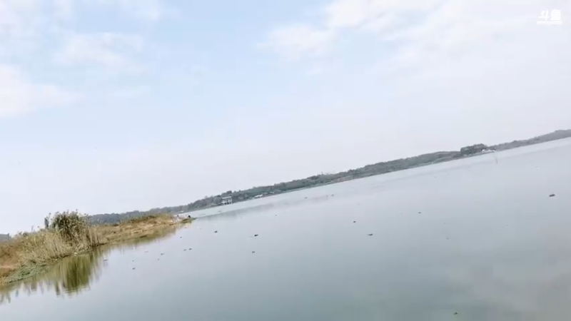 【2021-10-26 12点场】中华户外钓鱼：野钓大板鲫 828705