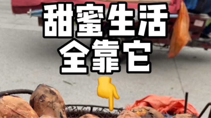 家人们！你们说我这波叫卖成功吗？