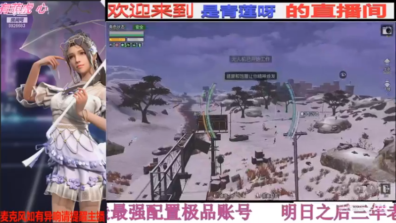 飘渺观光团