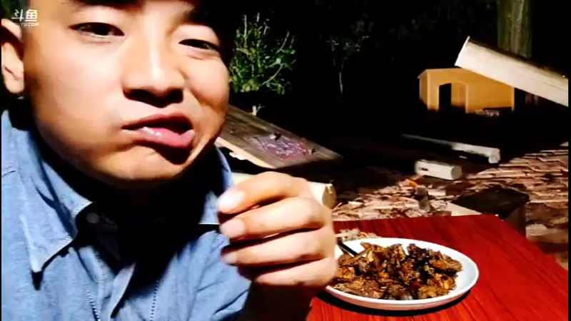 【2021-10-26 20点场】主播阿郎：荒野独居（做桌子）