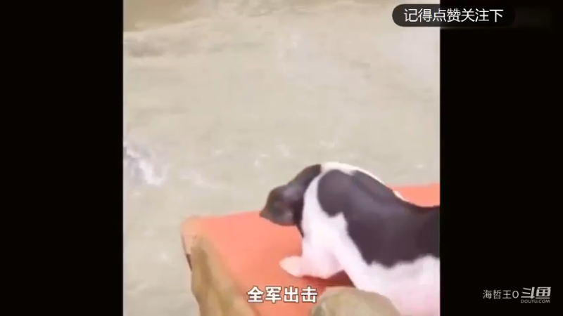 王者荣耀声音模仿秀