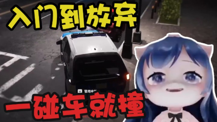 【一条小团团】入门到放弃 一碰车就撞