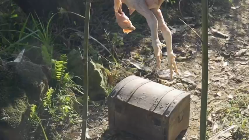 【美食】野食小哥的精彩时刻 20211026 10点场