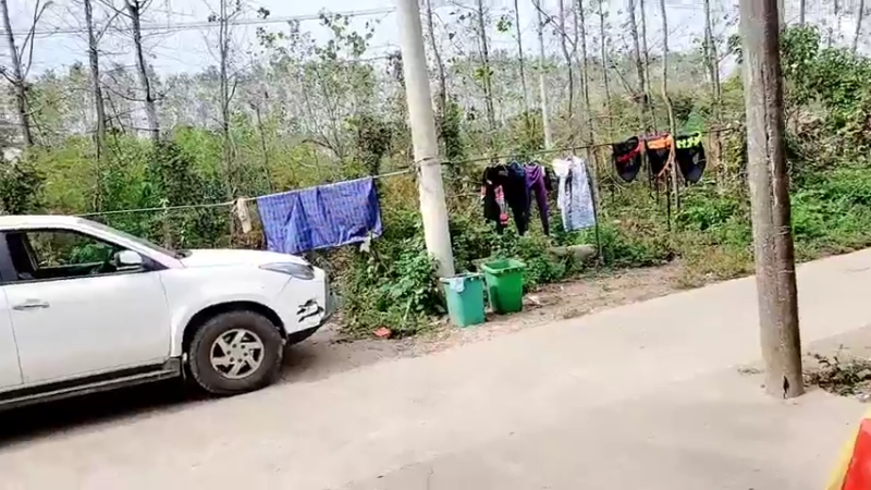 【2021-10-26 10点场】洪湖小肖：加油加油加油 447507