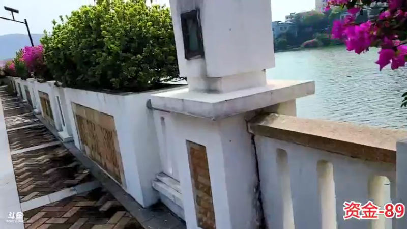 【2021-10-26 12点场】赛文柒Seven：龟兔赛跑day2-途搭之旅