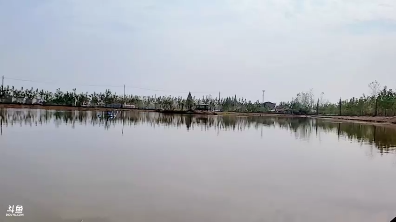 【2021-10-26 12点场】洪湖小肖：加油加油加油 447507