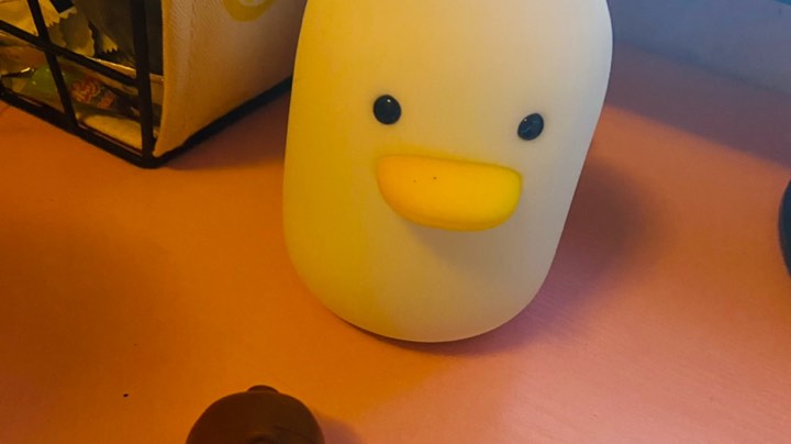 每天都在努力的豆豆