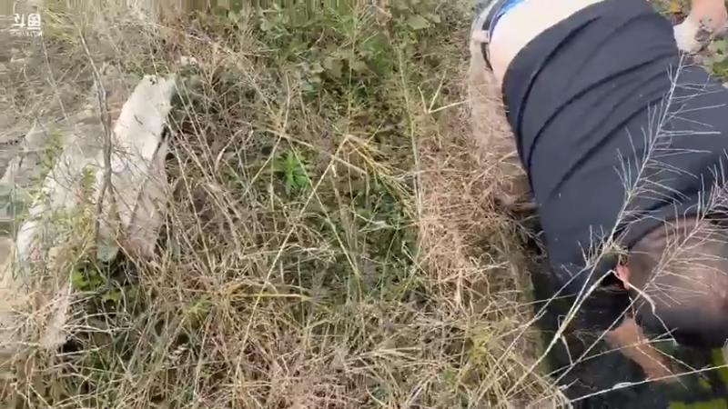 【2021-10-27 13点场】魅力生活i：今天挖黄鳝泥鳅。