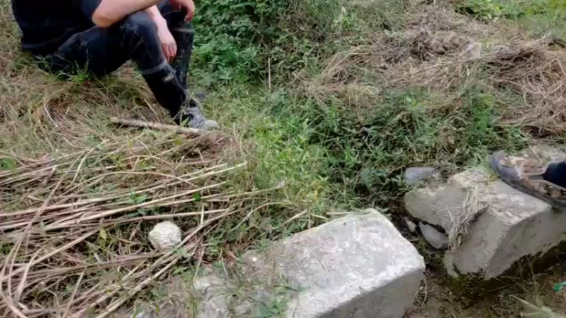 【2021-10-27 12点场】魅力生活i：今天挖黄鳝泥鳅。