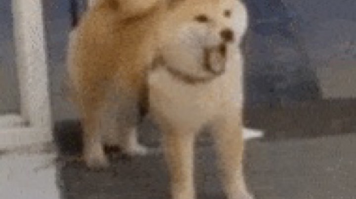 试试