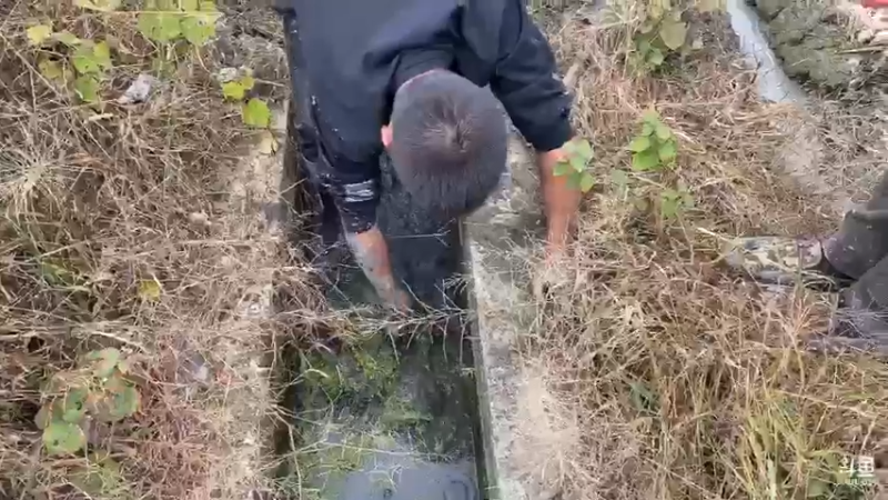 【2021-10-27 14点场】魅力生活i：今天挖黄鳝泥鳅。