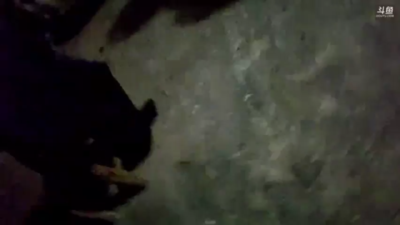 【2021-10-27 00点场】魅力生活i：私人水库叉鱼