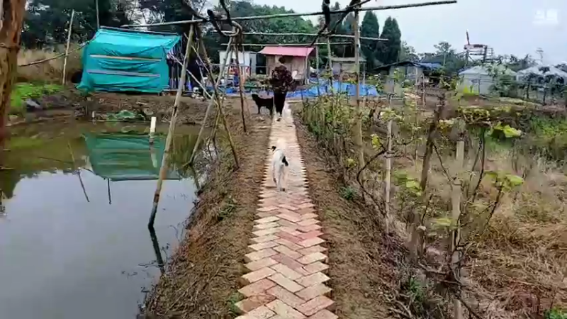 【2021-10-27 10点场】川味箩卜：基地升级大改造
