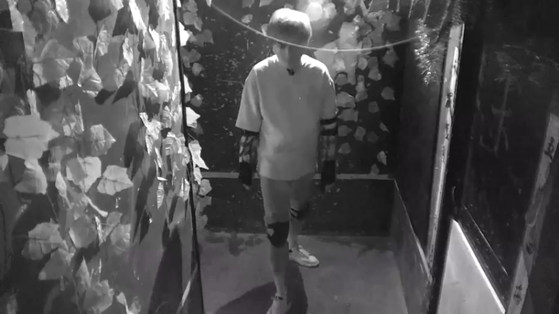 辰鬼做任务跟做贼一样，还被npc追着跑