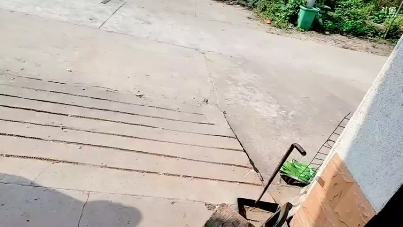 【2021-10-28 11点场】洪湖小肖：加油加油加油加油 447507