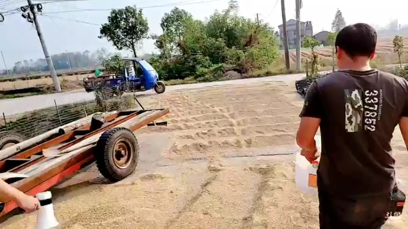 【2021-10-28 15点场】洪湖小肖：加油加油加油加油 447507