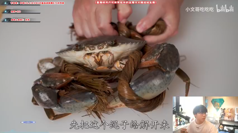 【2021-10-28 15点场】imxiaoxin：【手游&训练&狼人杀】